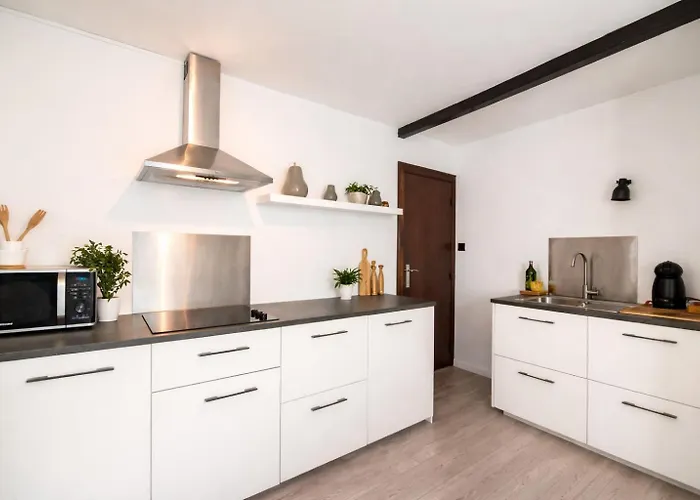 Le By La Reine Center Appartement Spa